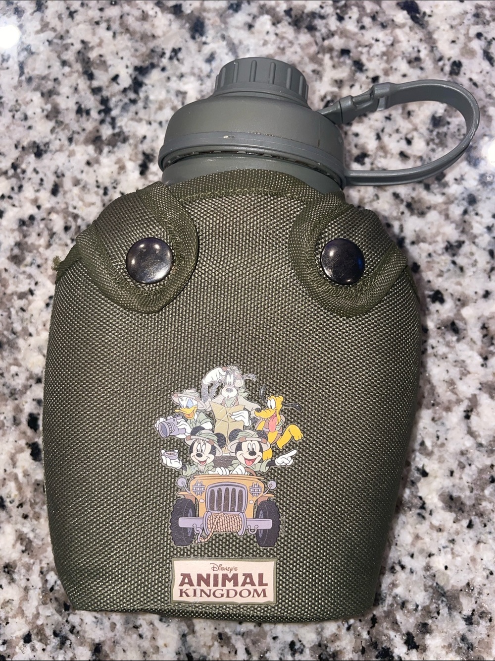 Disney Animal Kingdom Character Canteen Olive Green Mickey Minnie Goofy